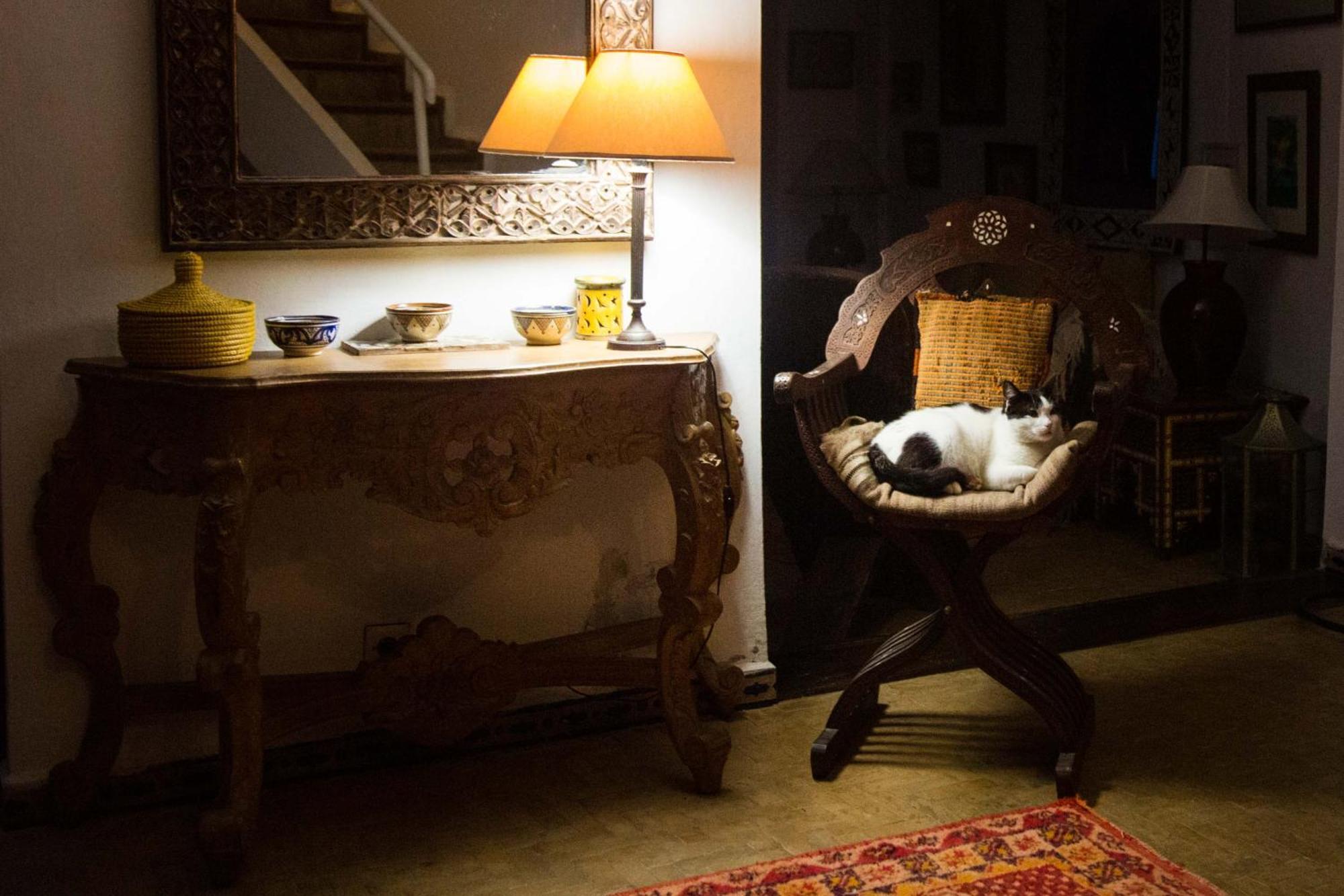 Riad Oasis D'Asilah Dış mekan fotoğraf