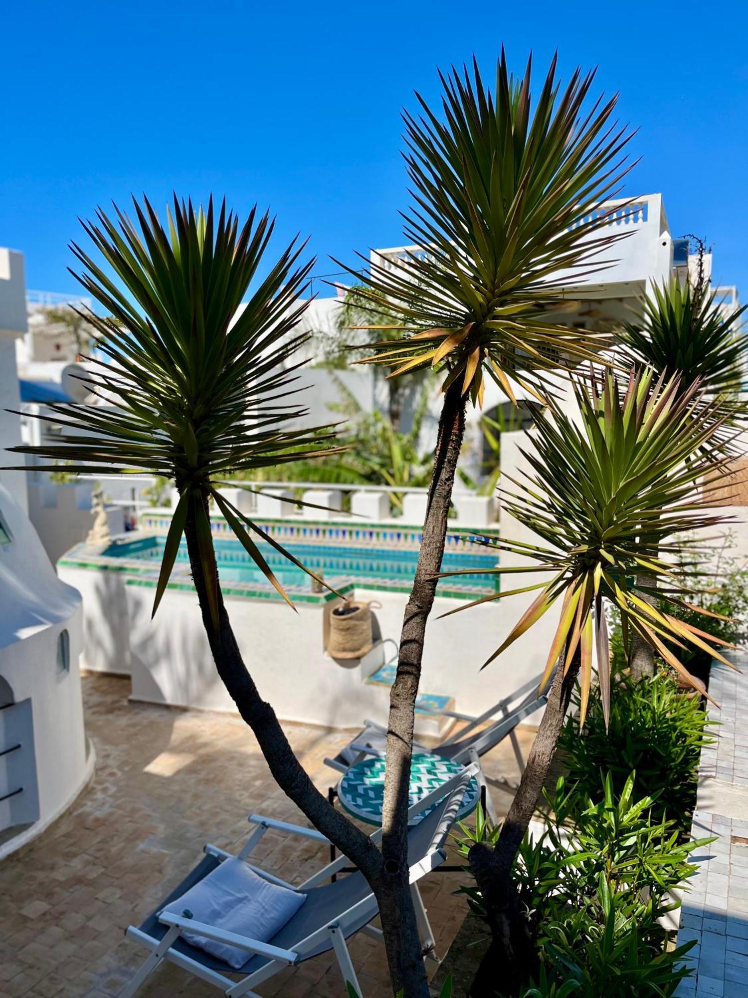 Riad Oasis D'Asilah Dış mekan fotoğraf